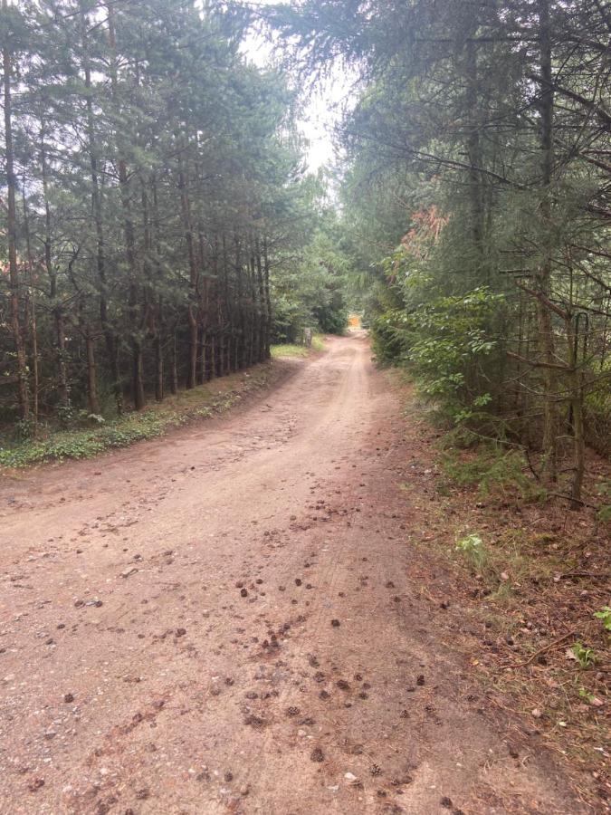 Domek Nad Jeziorem Kamien 2A Kowalewo ภายนอก รูปภาพ